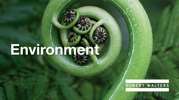 환경 경영을 통해 지속 가능한 사회 발전을 추구합니다.