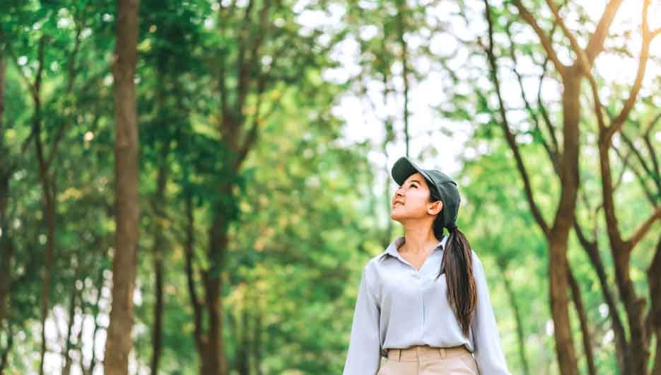 Asian women raise their hands to nature in the forest .people pr